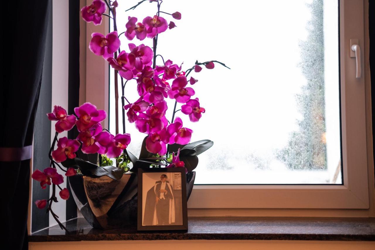 Cruwzo I Apartment With Garden Elberfeld ヴッパータール エクステリア 写真